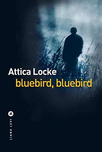 Couverture Bluebird, Bluebird