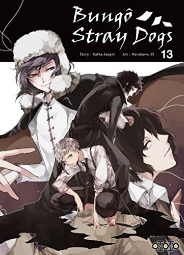 Couverture Bung Stray Dogs tome 13 Ototo