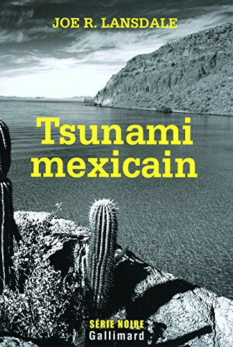 Couverture Tsunami mexicain