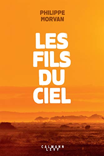 Couverture Les Fils du ciel