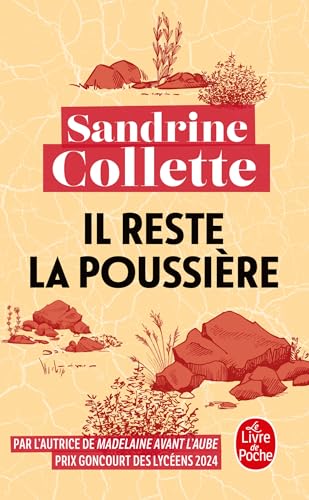 Couverture Il reste la poussi�re Livre de Poche