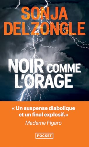 Couverture Noir comme l'orage Pocket