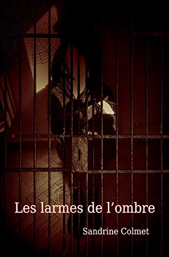 Couverture Les Larmes de l'ombre Auto-dition