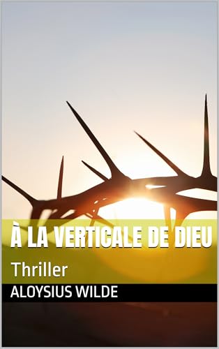 Couverture  la verticale de Dieu