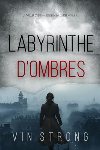 Couverture Labyrinthe d'ombres