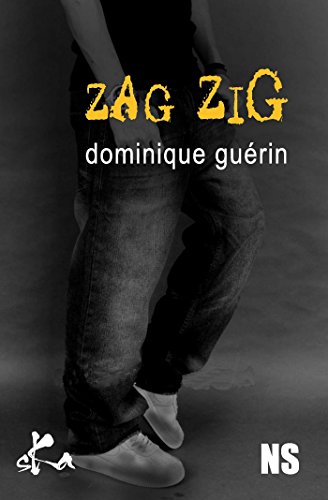 Couverture Zag Zig