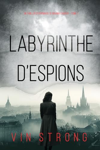 Couverture Labyrinthe despions