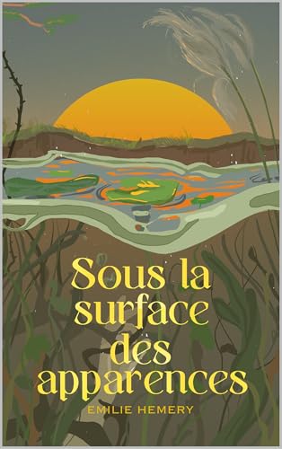 Couverture Sous la surface des apparences