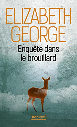Couverture Enqute dans le brouillard Pocket
