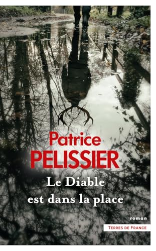 Couverture Le Diable est dans la place
