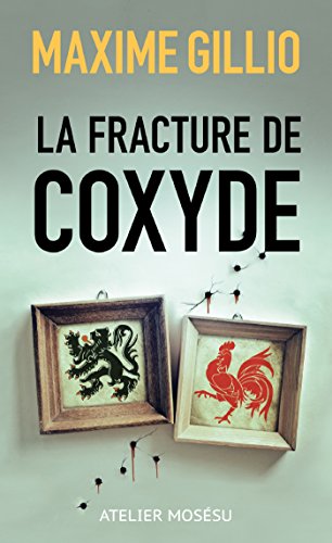 Couverture La Fracture de Coxyde
