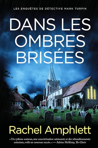 Couverture Dans les ombres brises