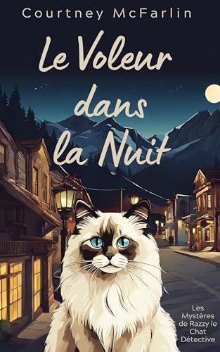 Couverture Le Voleur dans la nuit