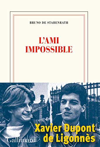 Couverture L'Ami impossible Gallimard