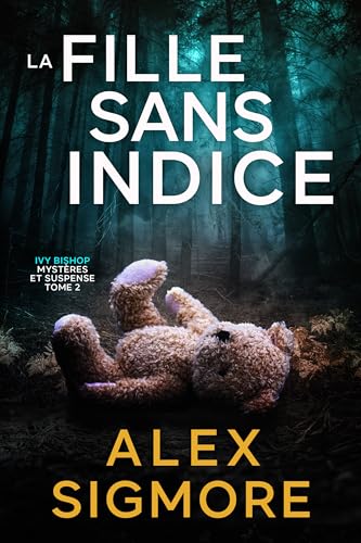 Couverture La Fille sans indice