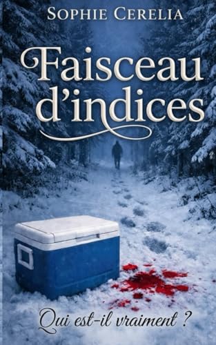 Couverture Faisceau d'indices