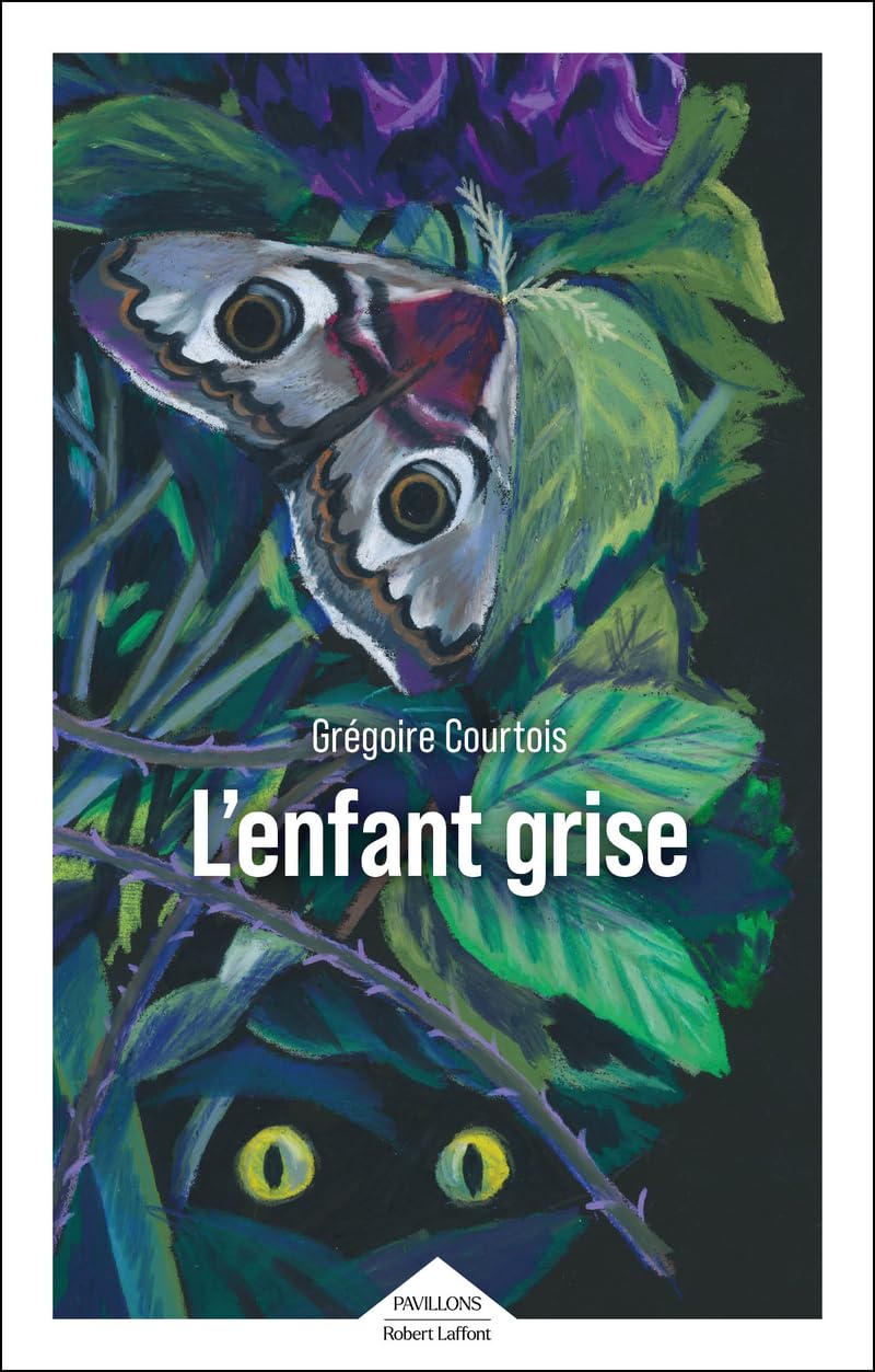 Couverture L'Enfant grise