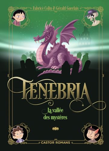 Couverture La Valle des mystres