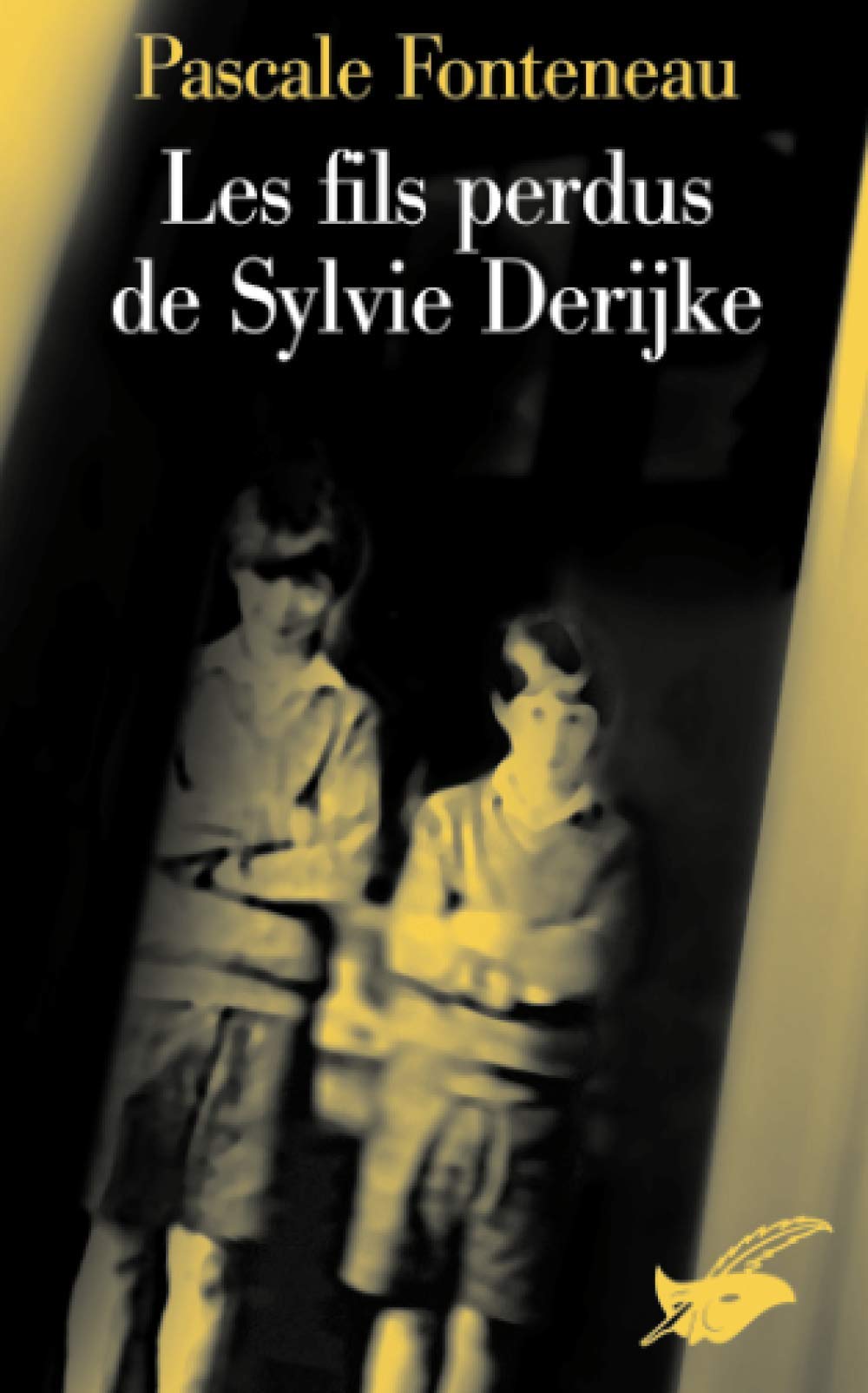Couverture Les Fils perdus de Sylvie Derijke Librairie des Champs-Elyses - Le Masque