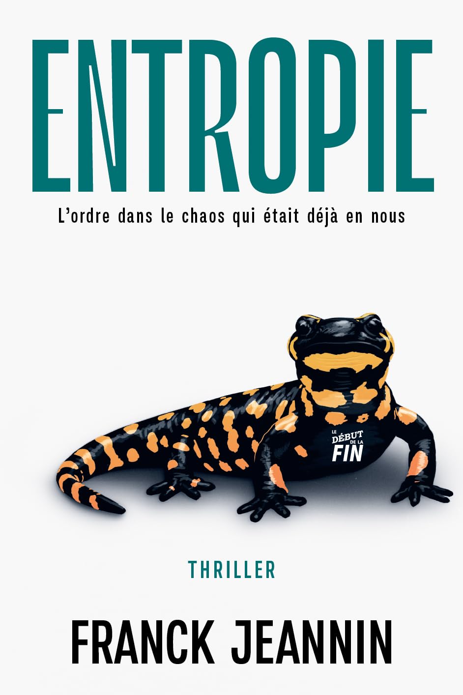 Couverture Entropie