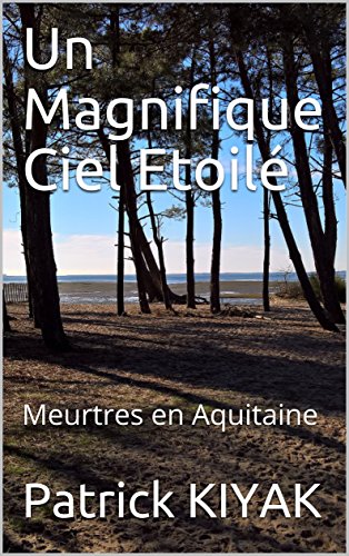 Couverture Un magnifique ciel toil Auto-dition