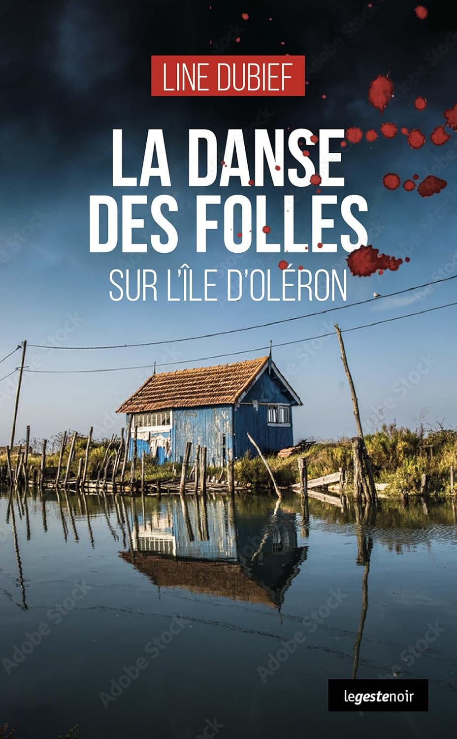 Couverture La danse des folles sur l'�le d'Ol�ron