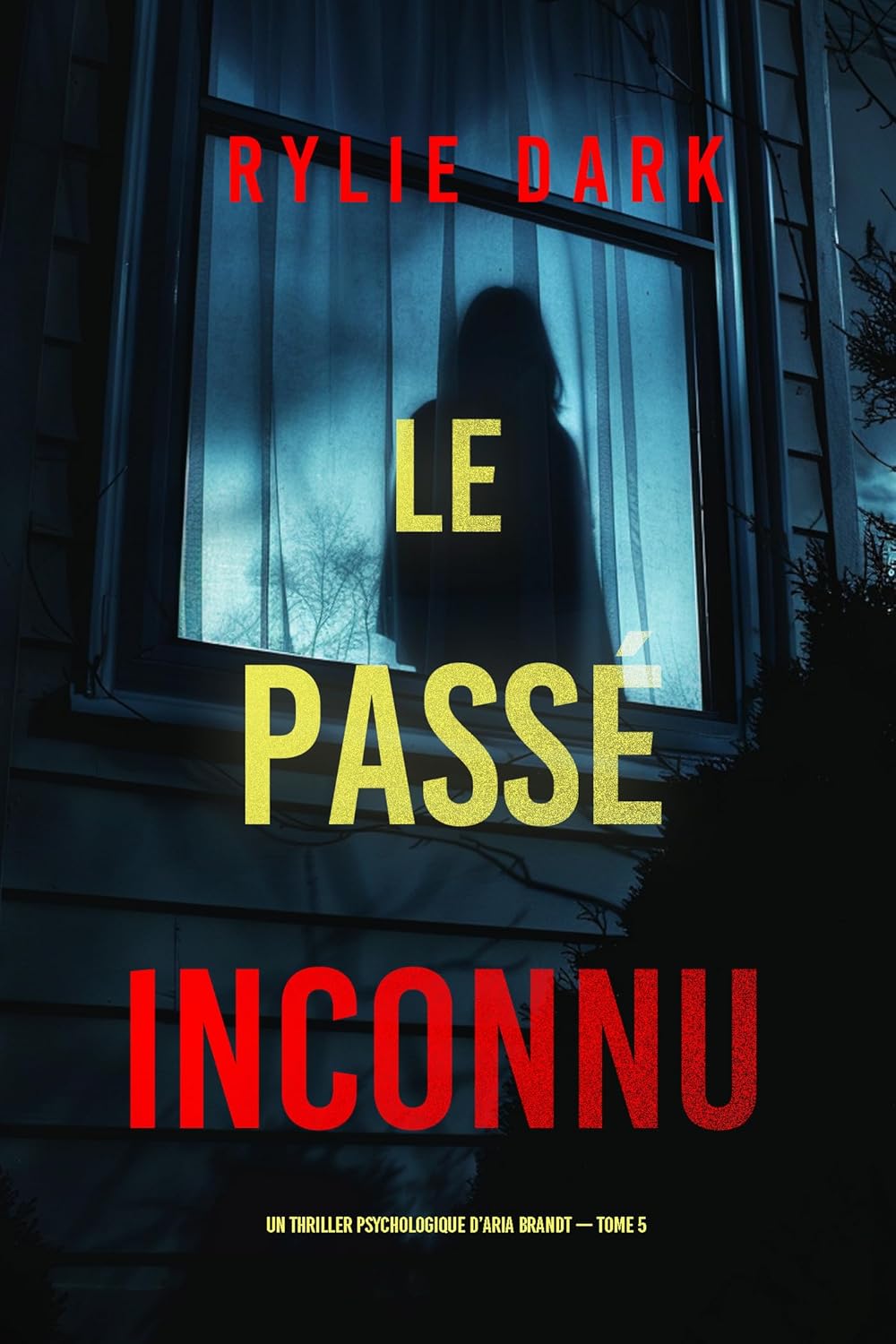 Couverture Le Pass� inconnu
