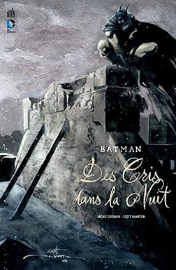 Couverture Des cris dans la nuit