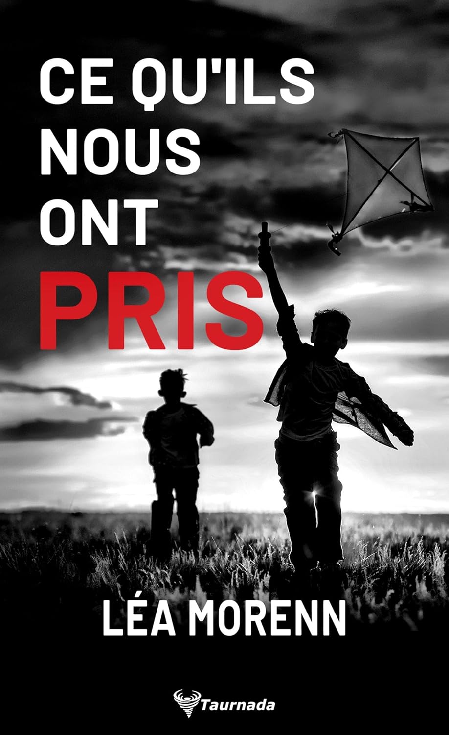 Couverture Ce qu'ils nous pris