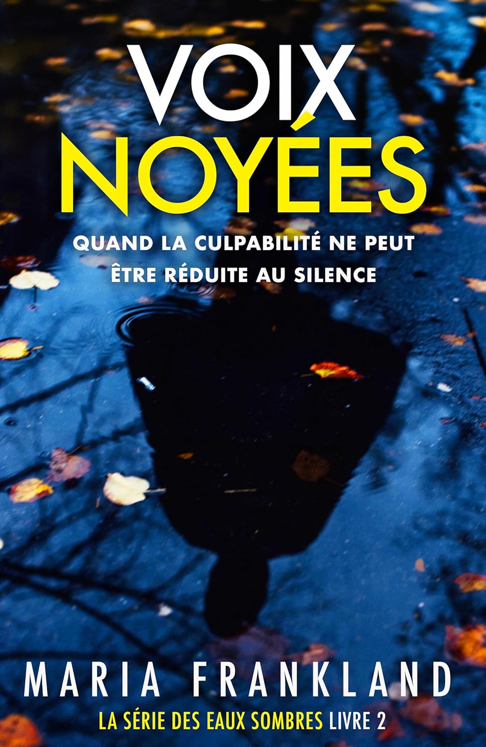 Couverture Voix noy�es