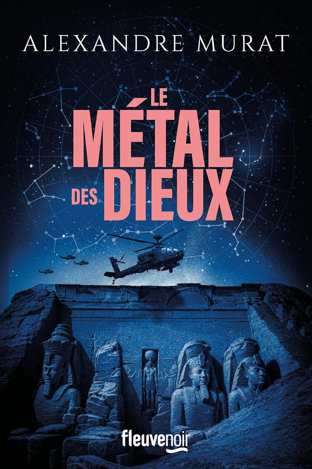 Couverture Le M�tal des dieux