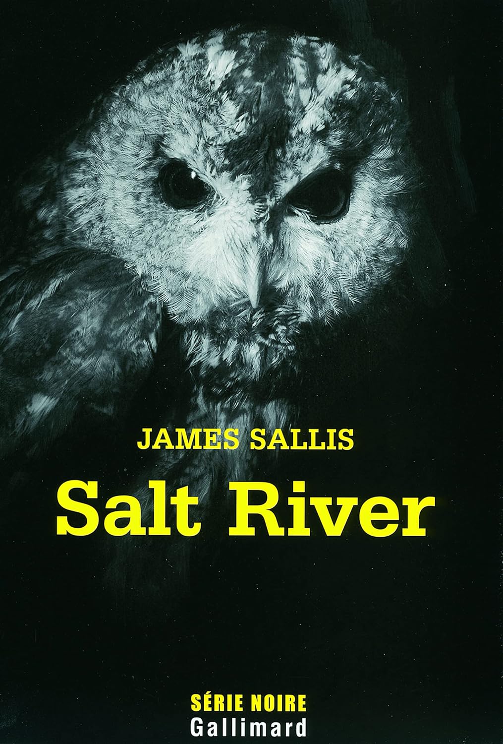 Couverture Salt River Gallimard