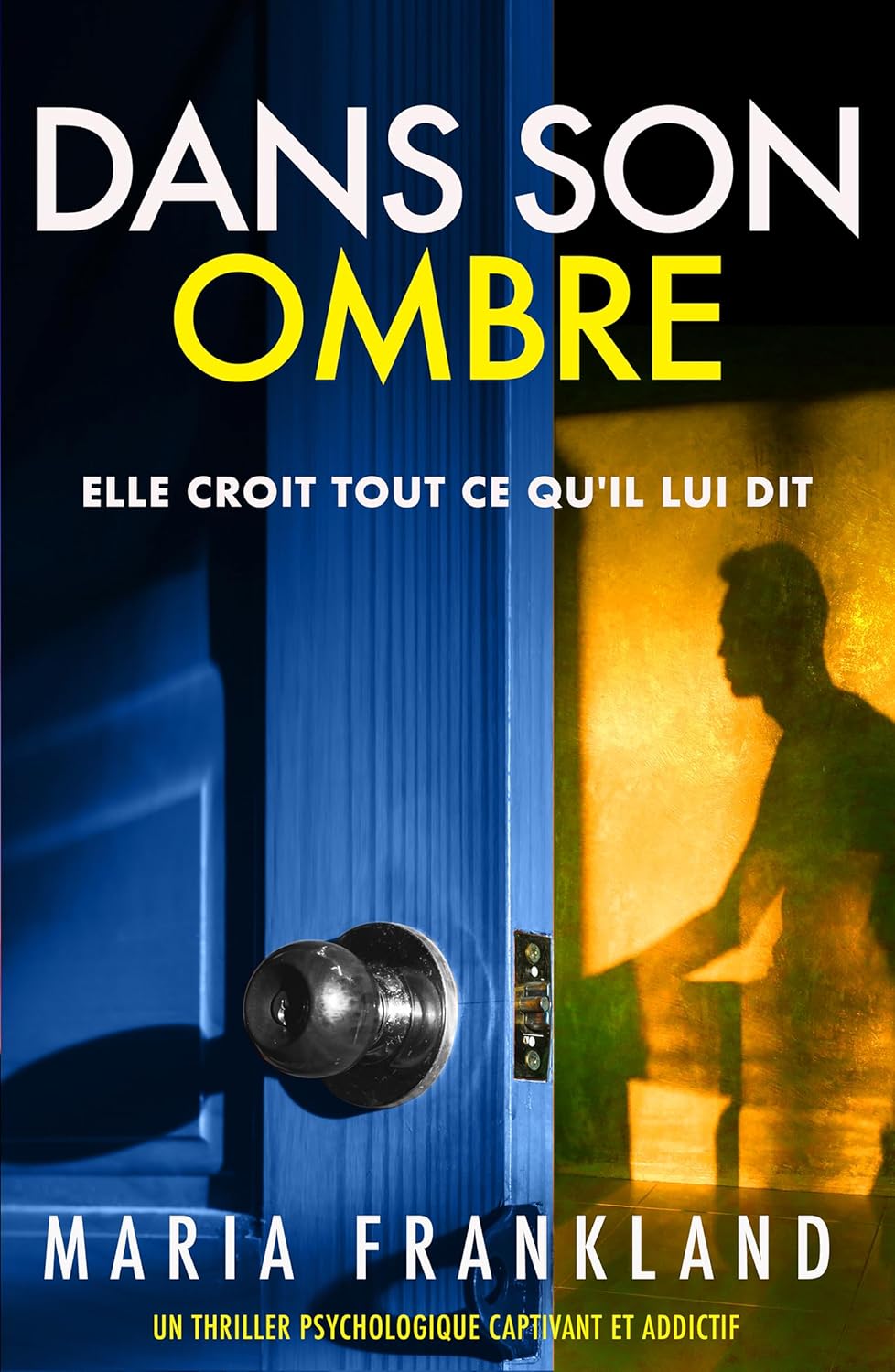 Couverture Dans son ombre