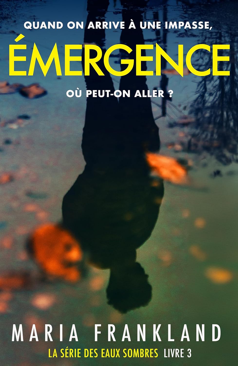 Couverture Emergence