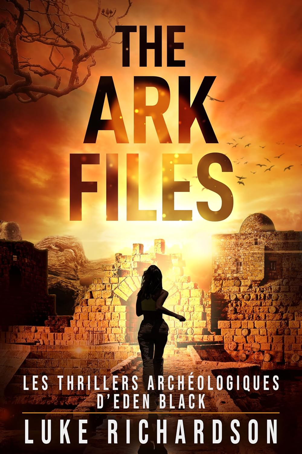 Couverture The Ark Files