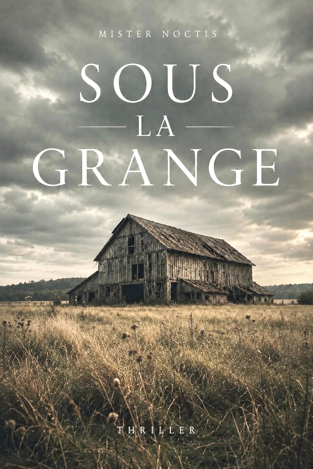 Couverture Sous la grange