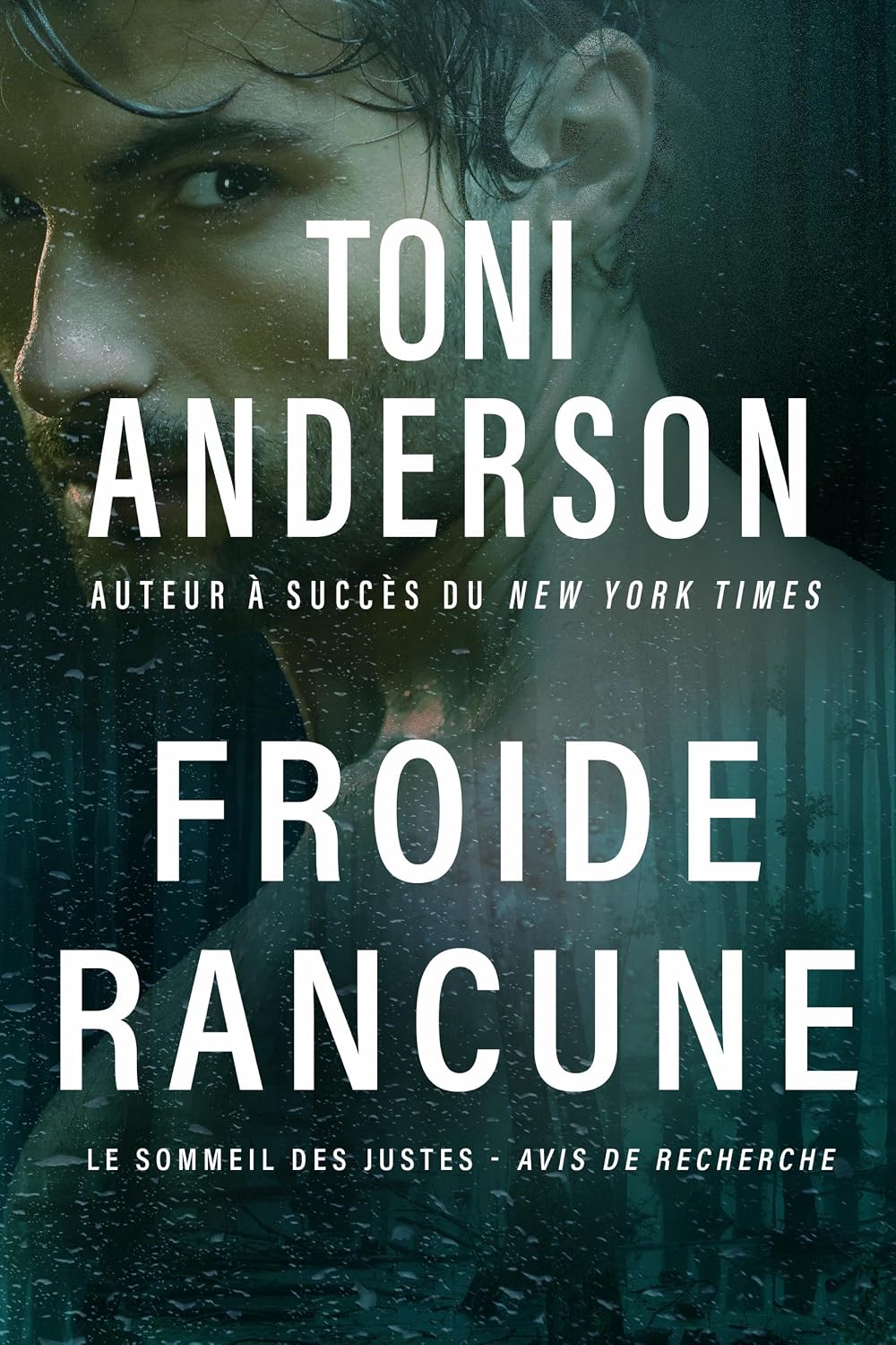 Couverture Froide rancune