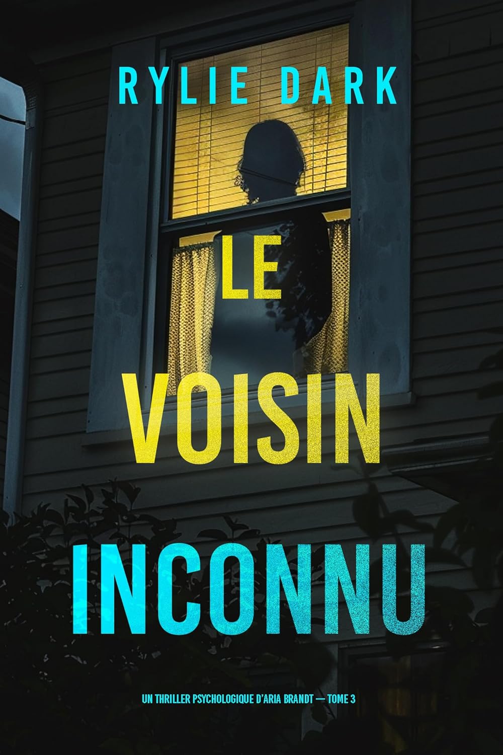 Couverture Le Voisin inconnu