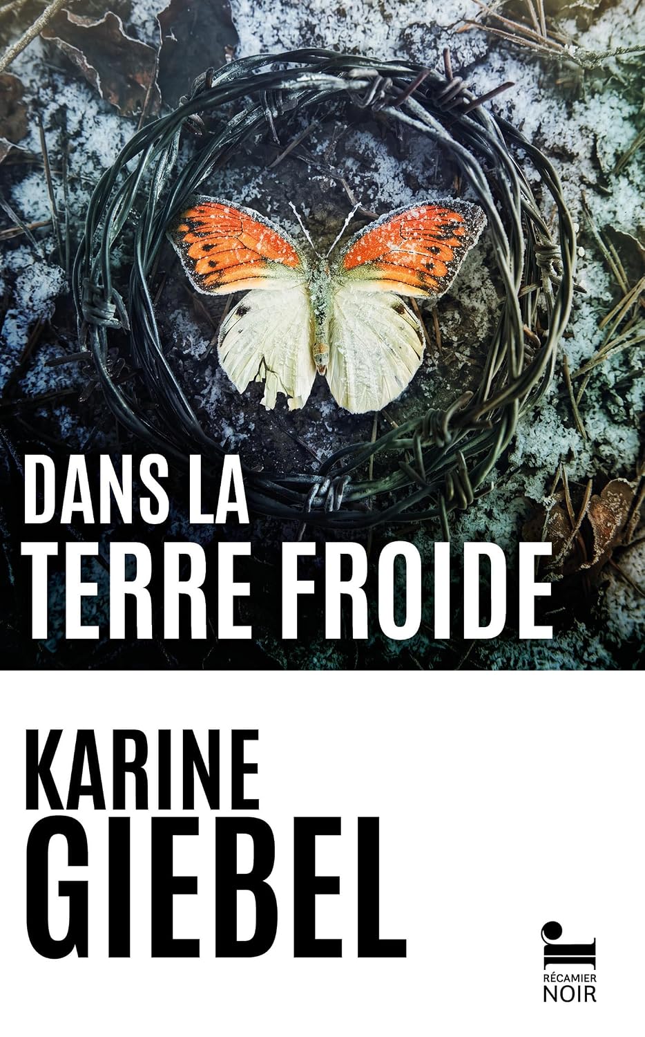 Couverture Dans la terre froide