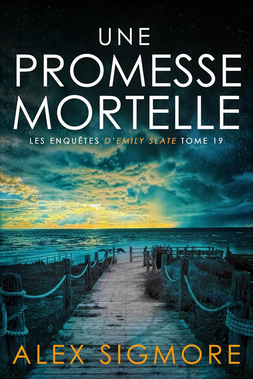 Couverture Une Promesse mortelle