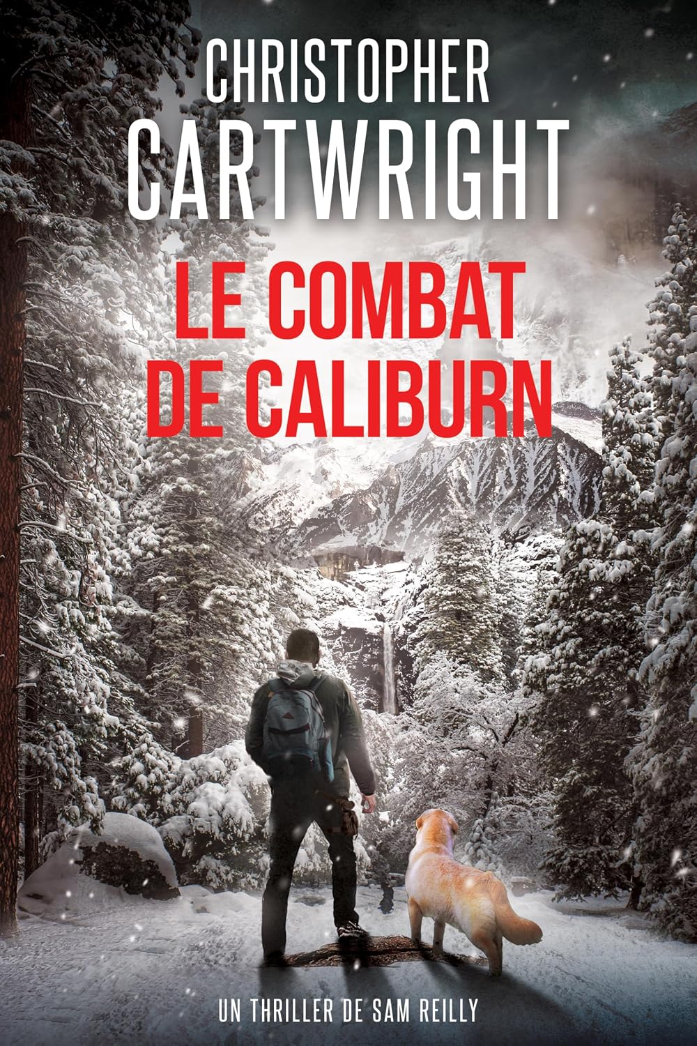 Couverture Le Combat de Caliburn