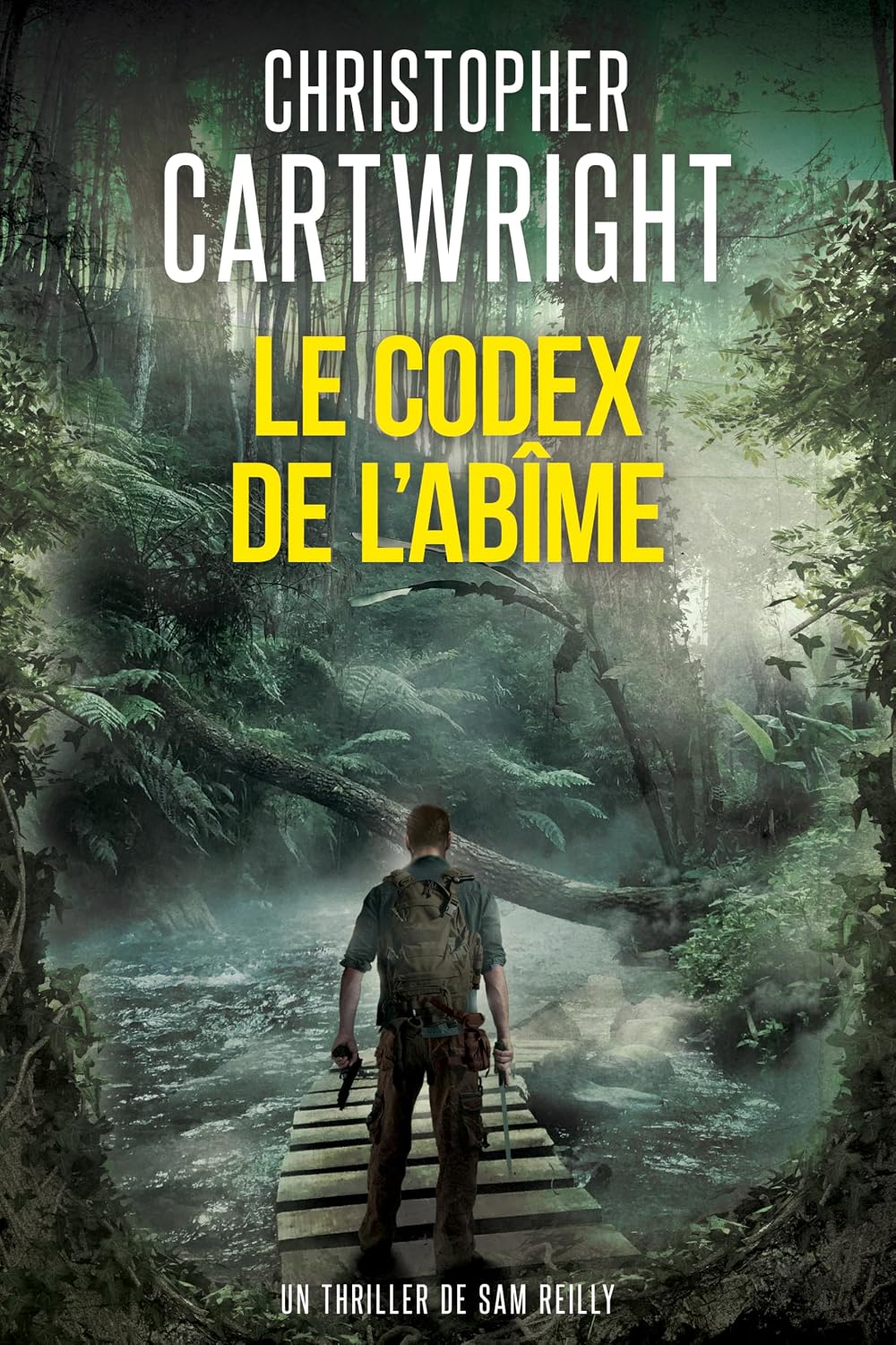 Couverture Le Codex de l'ab�me