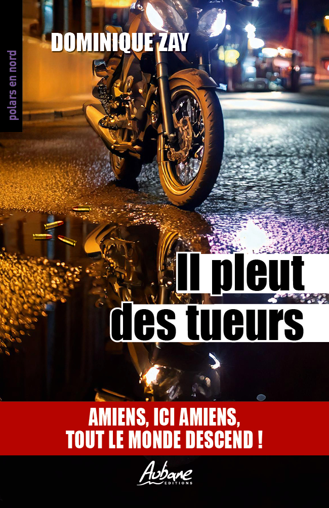 Couverture Il pleut des tueurs